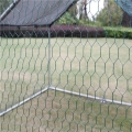 ZI-CR362 3.jpg