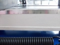 MCB 230 (12).JPG