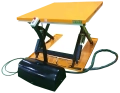 SNN1000 1.png